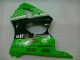 ABS Plastica & Carena Kawasaki ZX6R 00-02 - Verde Nero