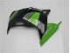 ABS Plastica & Carenatura Kawasaki EX300 13-16 - Verde Nero